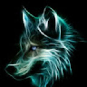 Meet your Posher, Lucas